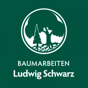 Ludwig-Schwarz-Baumarbeiten